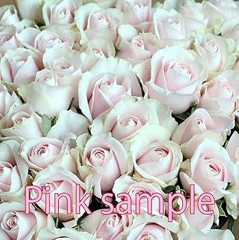 しょうちゃん　40㎝ 108本 ラッピング込み　クール便対応 Amazon｜BisesFlower(ビズフラワー)【クール便出荷】バラ 花束